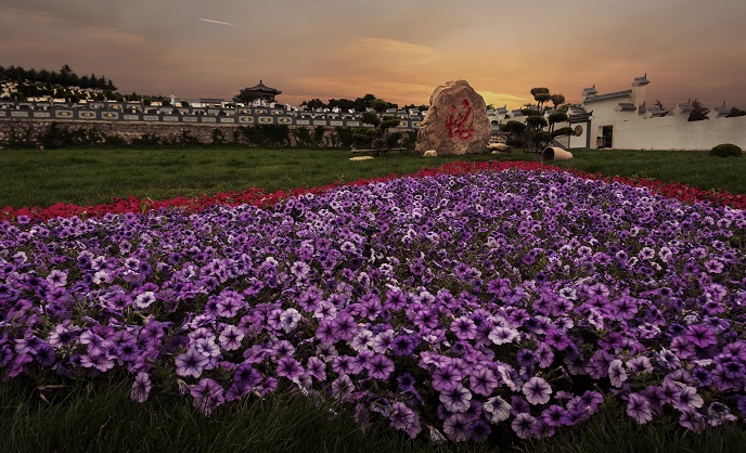 玫瑰園 沈陽墓園陶然墓地玫瑰藝術園詳細介紹